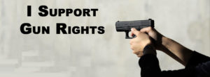 Gun rights